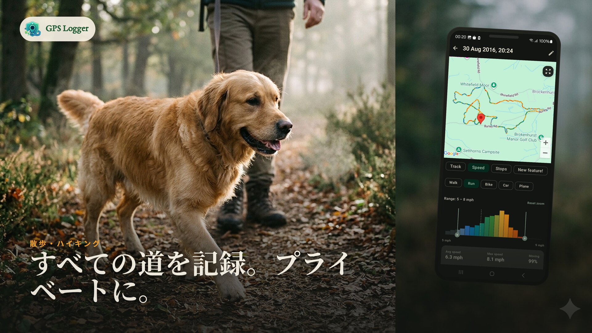 霧がかった森の中での犬の散歩を記録 — すべての道をプライベートに保存