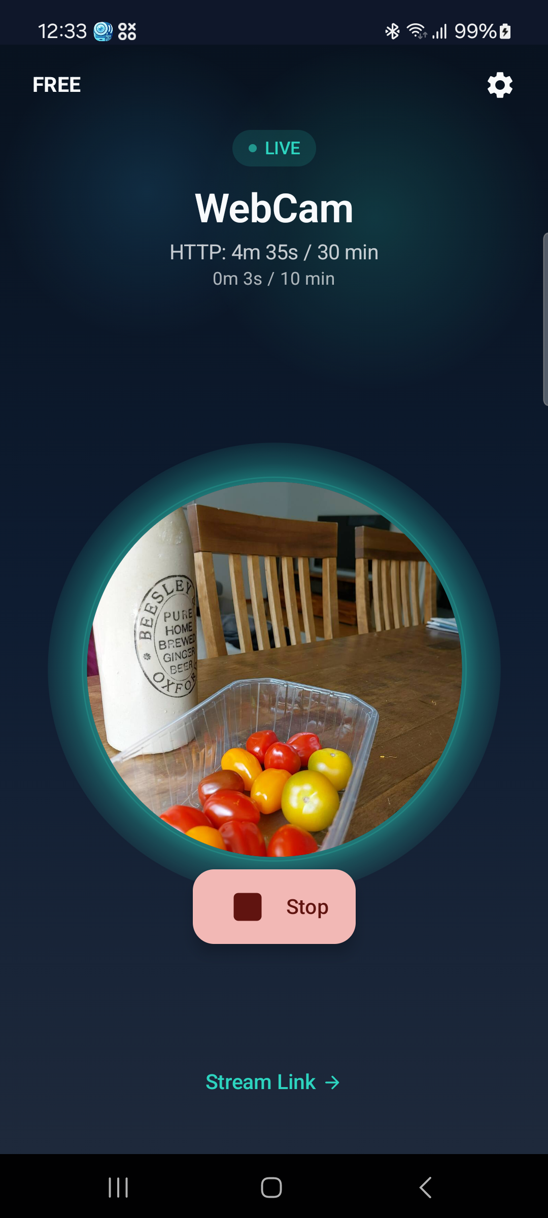 WebCam home screen streaming live on an Android phone